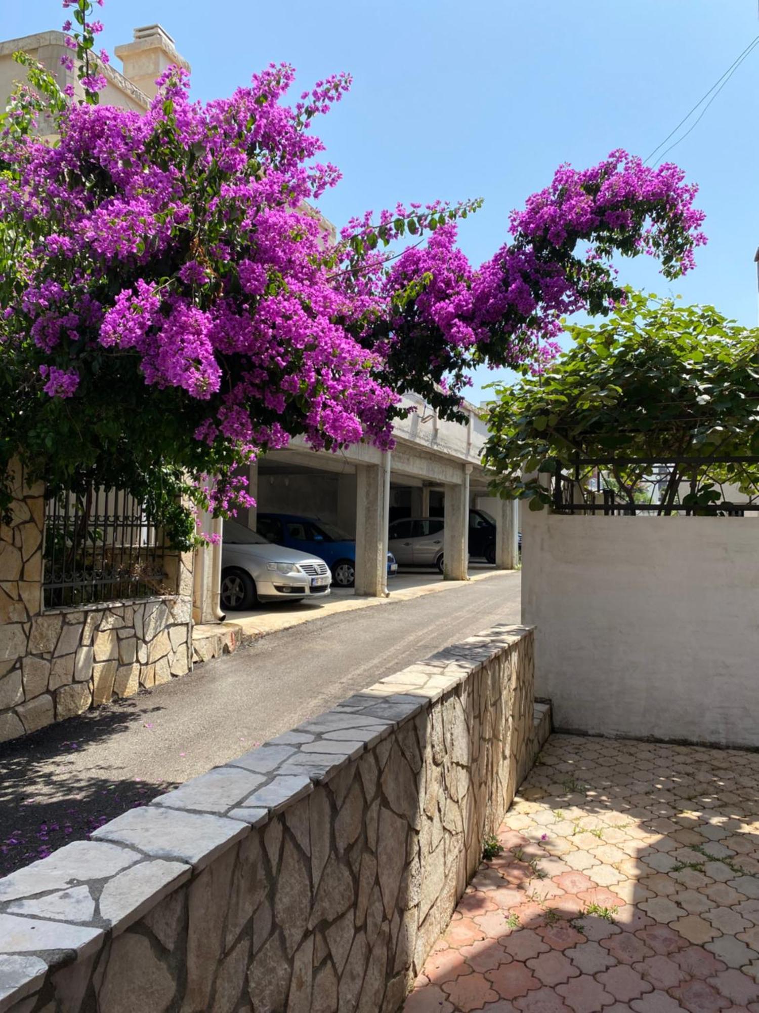 Apartments Vila Kurtagic Dobra Voda Dış mekan fotoğraf